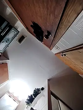 chad23162 online show from 02/13/26, 04:51