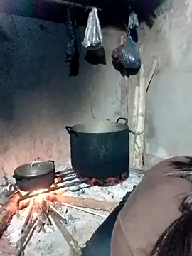 maimai1100 online show from 03/27/26, 09:49