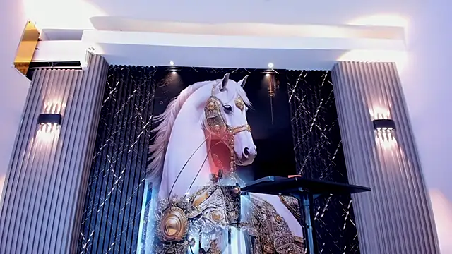 Snapshot of the_knights_of_the_night chatting on 02/28/26, 06:40 the knights of the night online show from 02/28/26, 06:40