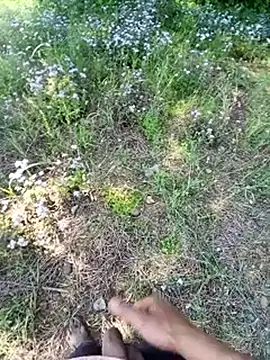 Sharmasamba online show from 03/25/26, 05:29