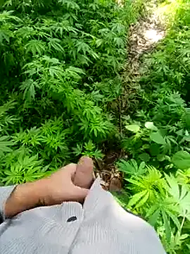 Sharmasamba online show from 03/24/26, 06:13