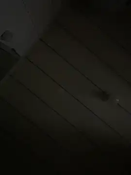 Youyou 12 online show from 03/05/26, 12:57