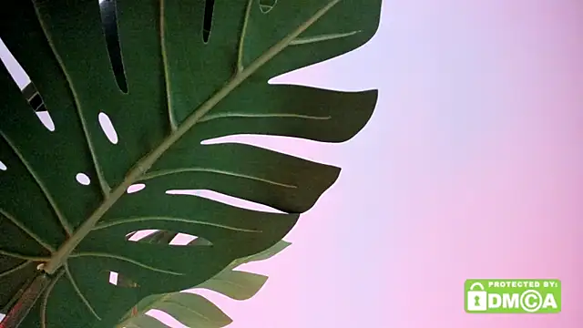 lovesweetash online show from 04/13/26, 02:21