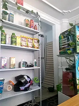 Tatianna Loove  online show from 03/14/26, 02:56