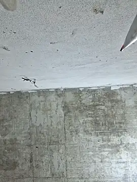 Snapshot of Mey_mey2k3 chatting on 03/02/26, 02:23 Mey mey2k3 online show from 03/02/26, 02:23