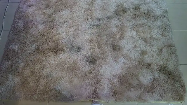 Ladyy brownn online show from 03/19/26, 11:32