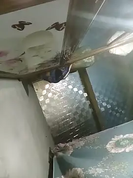 Dunk-namic online show from 04/14/26, 03:17