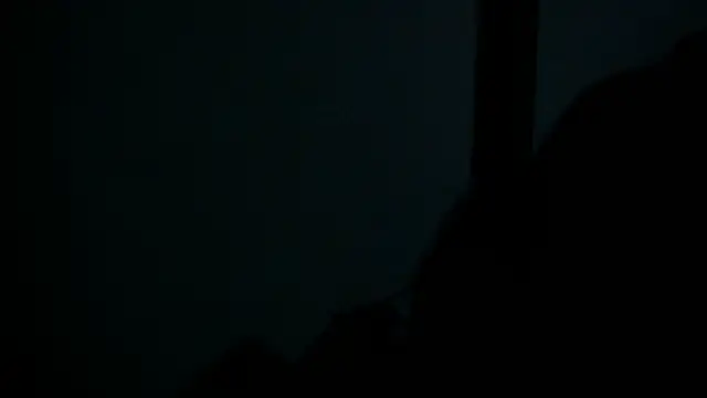 SussyFox online show from 03/08/26, 02:31