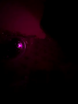 Raj teluguboy online show from 03/06/26, 07:42