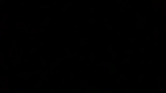 Snapshot of Luanatrav1 chatting on 03/12/26, 09:46 Luanatrav1 online show from 03/12/26, 09:46