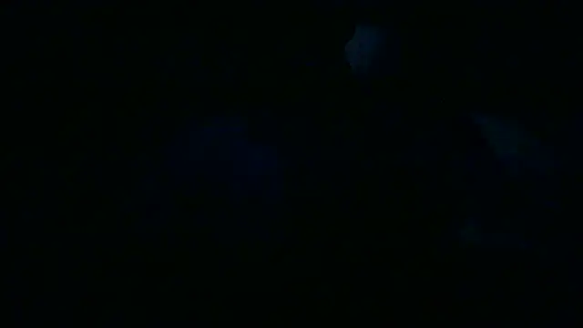 Snapshot of Luanatrav1 chatting on 03/19/26, 09:31 Luanatrav1 online show from 03/19/26, 09:31