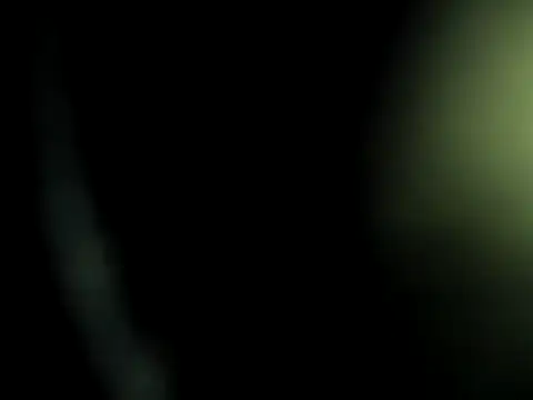 camila wood online show from 02/10/26, 12:09