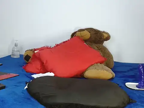 Snapshot of Davissmith89 chatting on 02/17/26, 08:28 Davissmith89 online show from 02/17/26, 08:28