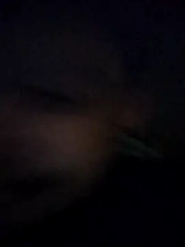 matheusalvesba online show from 04/15/26, 12:38