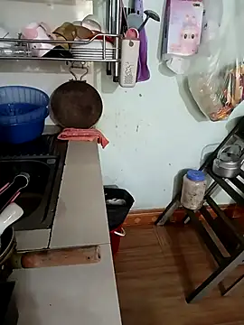 Tulip ii online show from 02/26/26, 03:17