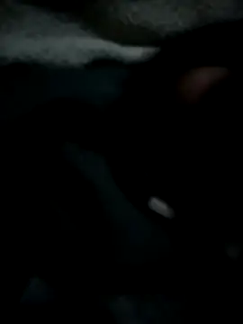 Ben10xblack online show from 05/11/26, 01:29