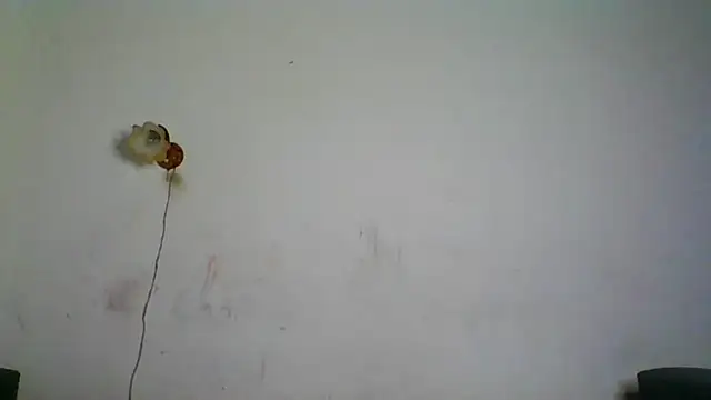 NickiKisinger online show from 02/07/26, 05:26