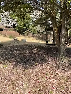 K0U-123 online show from 04/03/26, 12:39