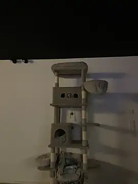 Snapshot of Just-Lilly chatting on 03/10/26, 12:14 Just-Lilly online show from 03/10/26, 12:14