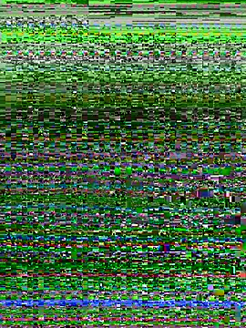 missgirl88 online show from 04/17/26, 10:56