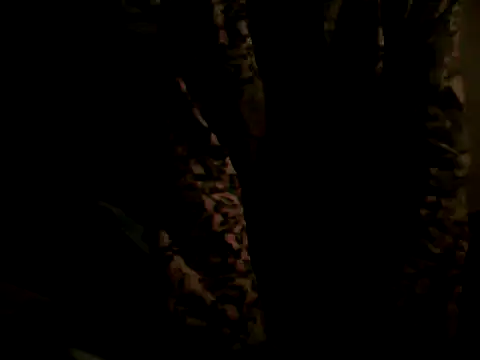flakita38 online show from 06/15/26, 11:48
