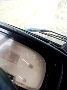 pau-de-ourod online show from 04/13/26, 11:58