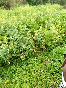 baby 112233 online show from 03/13/26, 01:10