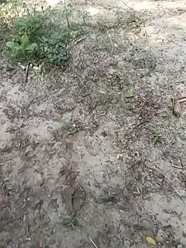 Snapshot of kalai_32 chatting on 02/03/26, 06:33 kalai 32 online show from 02/03/26, 06:33