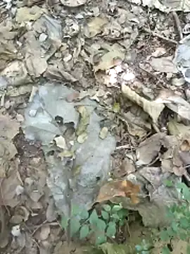 Snapshot of kalai_32 chatting on 02/04/26, 06:19 kalai 32 online show from 02/04/26, 06:19