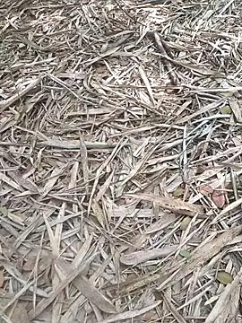 Snapshot of kalai_32 chatting on 02/06/26, 06:53 kalai 32 online show from 02/06/26, 06:53