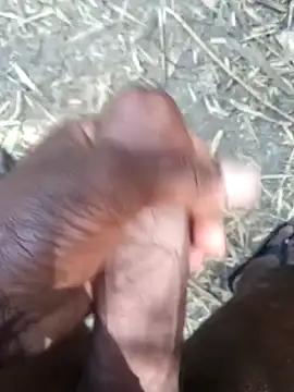 Snapshot of kalai_32 chatting on 02/17/26, 06:11 kalai 32 online show from 02/17/26, 06:11