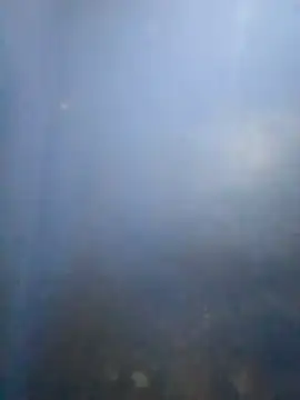 S7LEALTADPERVLIMA7 online show from 05/25/26, 07:51