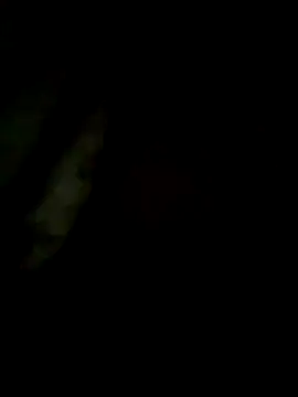 S7LEALTADPERVLIMA7 online show from 05/28/26, 11:05
