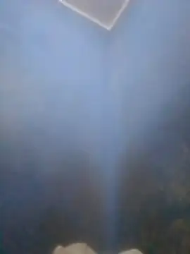 S7LEALTADPERVLIMA7 online show from 04/12/26, 06:00