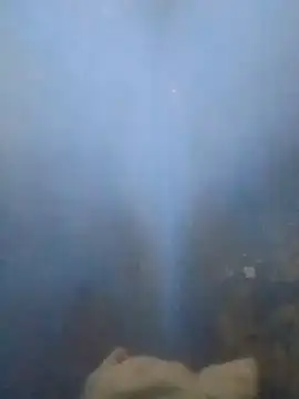 S7LEALTADPERVLIMA7 online show from 05/27/26, 04:31