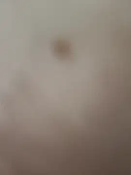 elvergon8721 online show from 02/20/26, 05:26