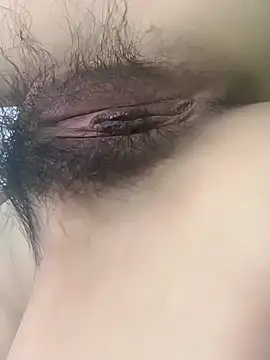 fadssa online show from 02/03/26, 06:22