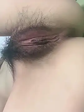 fadssa online show from 02/04/26, 06:52