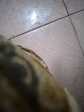 the sayem fuckboy online show from 03/11/26, 10:04