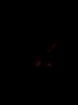 Harry302933 online show from 03/11/26, 04:56