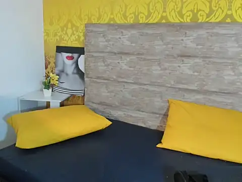 Snapshot of Geminis___ chatting on 02/13/26, 11:16 Geminis online show from 02/13/26, 11:16