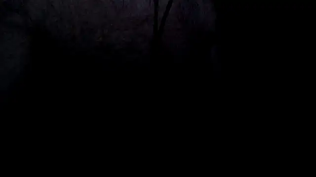 cumintodadark online show from 06/04/26, 10:25