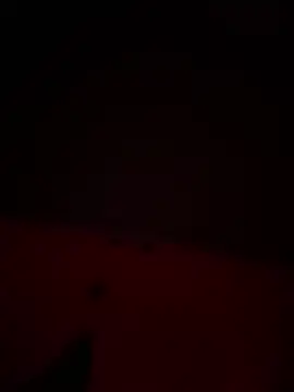 no-name15 online show from 03/29/26, 10:44