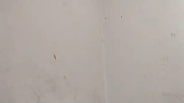 MisterSnowww online show from 03/06/26, 09:54