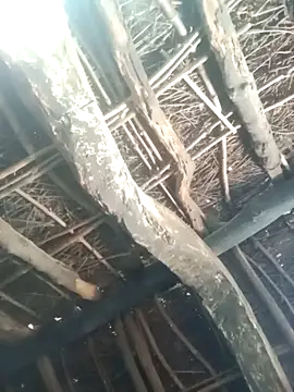 Manu mehta online show from 03/31/26, 04:58