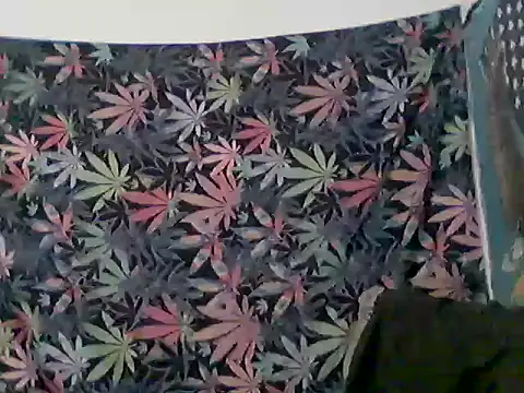 libraxxxstudios online show from 06/12/26, 12:36