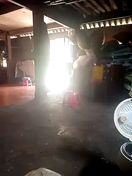 cana4455 online show from 03/24/26, 05:40