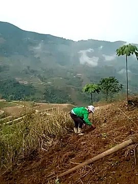 cana4455 online show from 03/10/26, 02:26