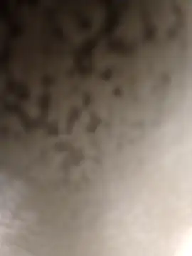 Taboada20 online show from 03/06/26, 08:04