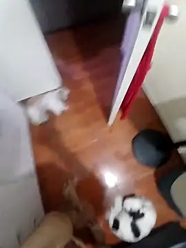 Taboada20 online show from 04/08/26, 10:39